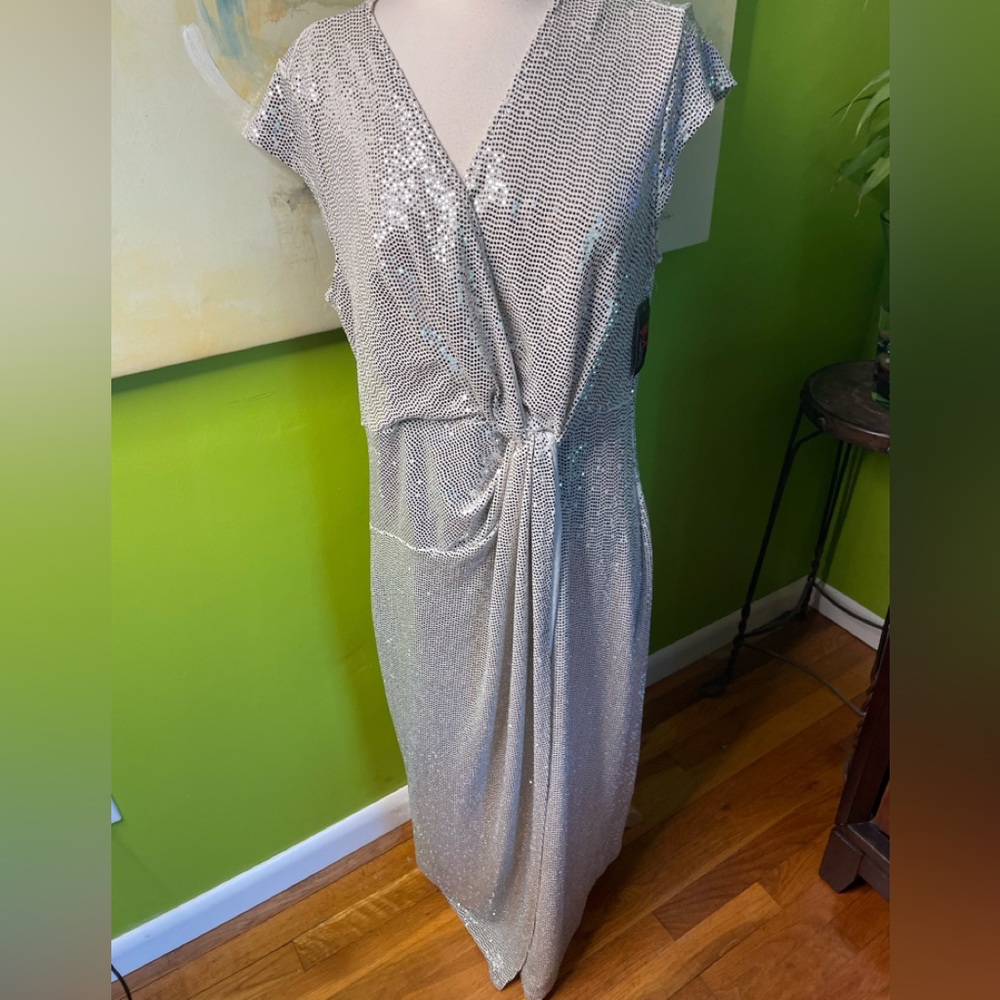 NWT   Sequin dress
